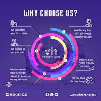 Vibrant Holiday