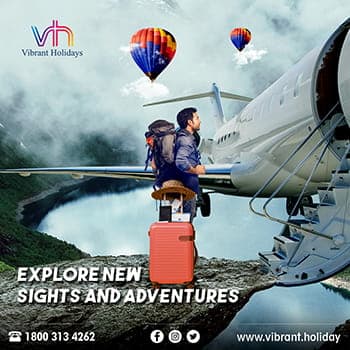 Vibrant Holiday